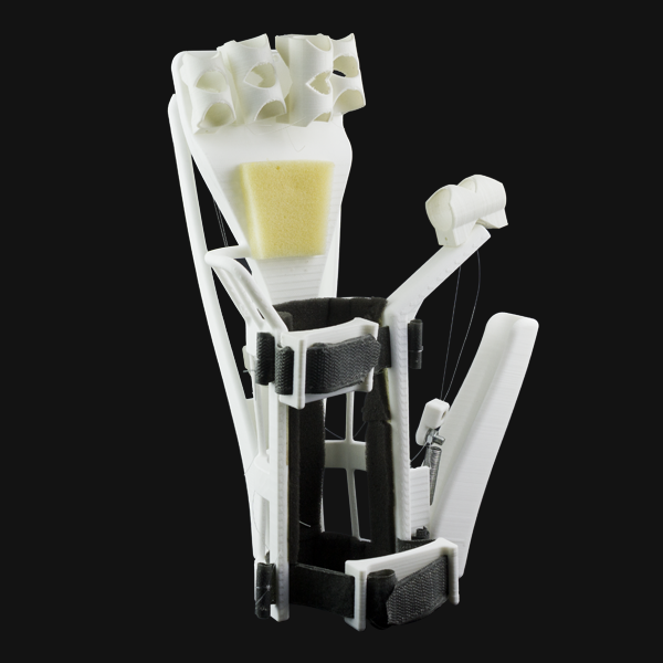 BCN3D wydruk 3D z filamentu PET-G